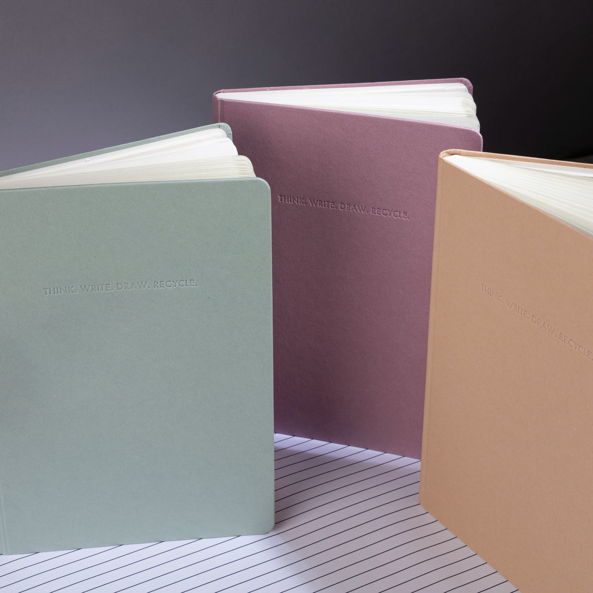 Numic Notebook Enviro Notebook – Numic
