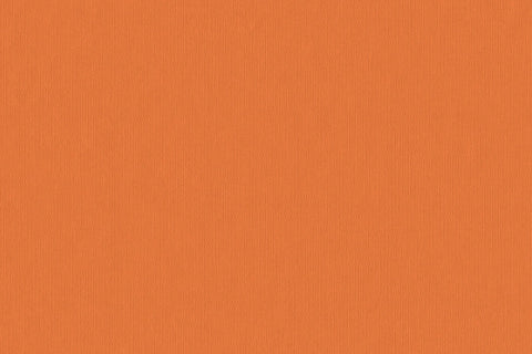Orange book cover